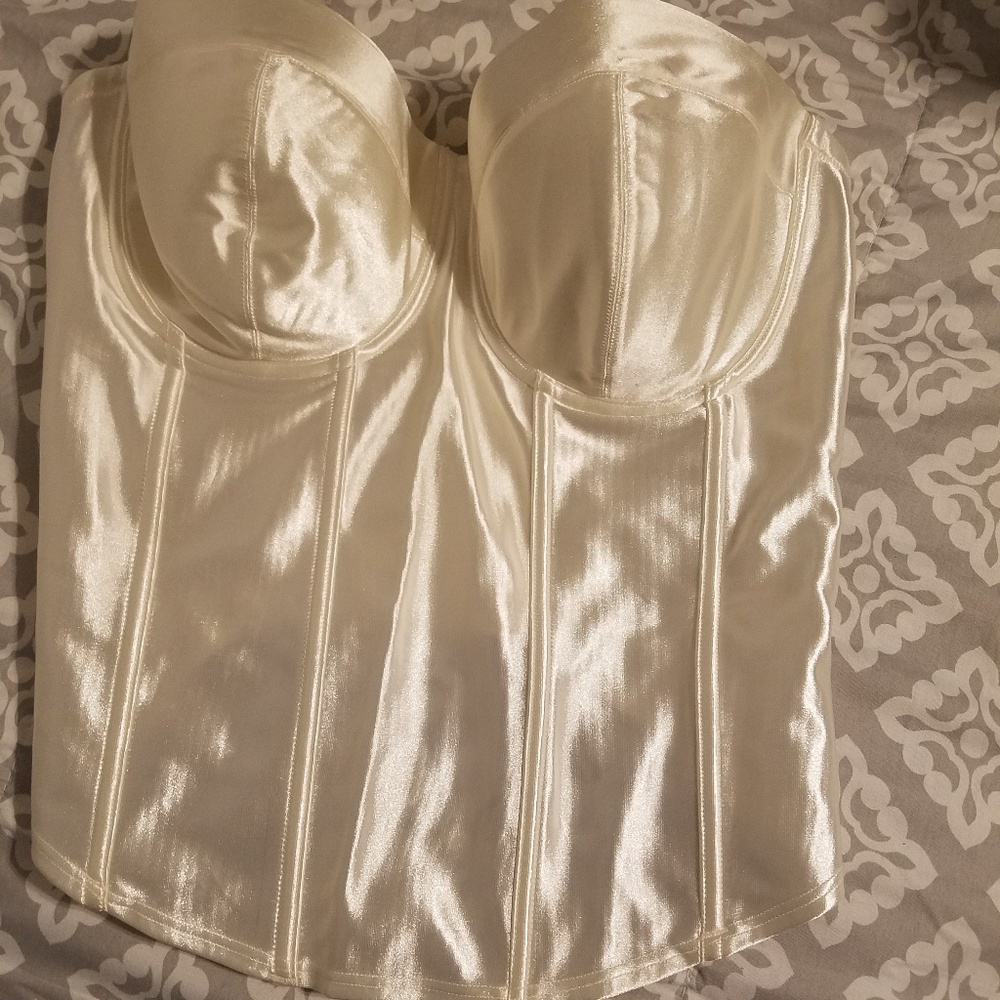 Fine Line 40D Corset, new never worn